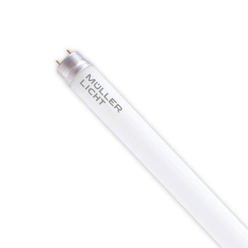 LED cső G13 21