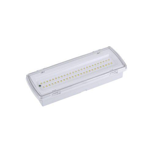 LED menekülési útvonal világítás Wasen süllyesztett felszíni szerelés