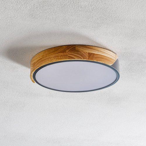 LED mennyezeti lámpa Borneo fa kerettel