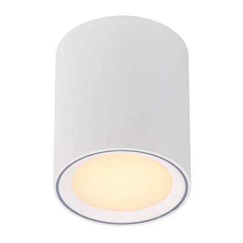 LED mennyezeti lámpa Fallon