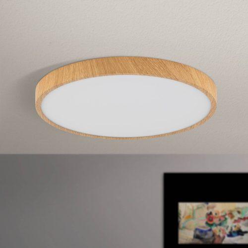 LED mennyezeti világítás Bully