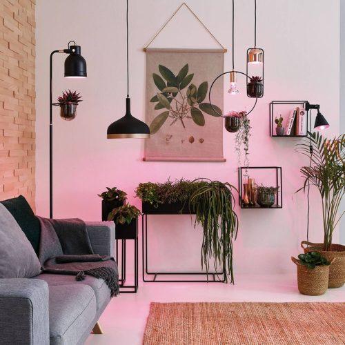 Paulmann LED növényi lámpa E27 Grow Green 6