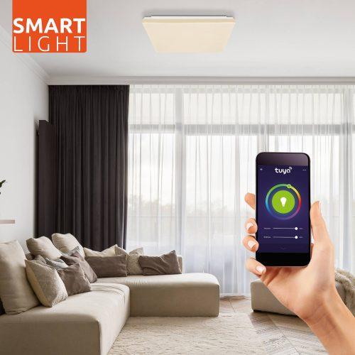 Ully LED mennyezeti lámpa smart Tuya CCT fahatású