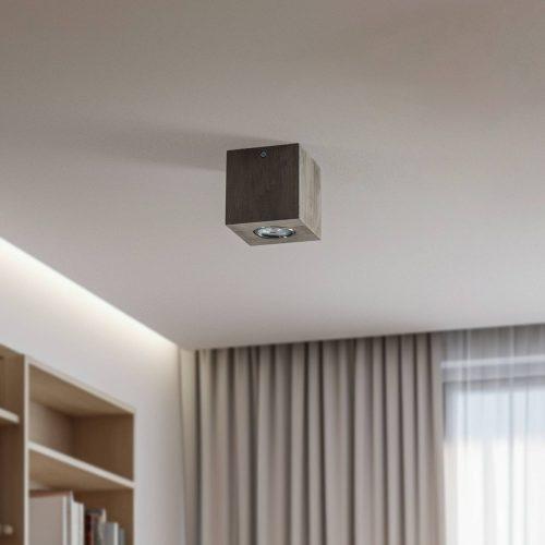 Envostar Tuni downlight