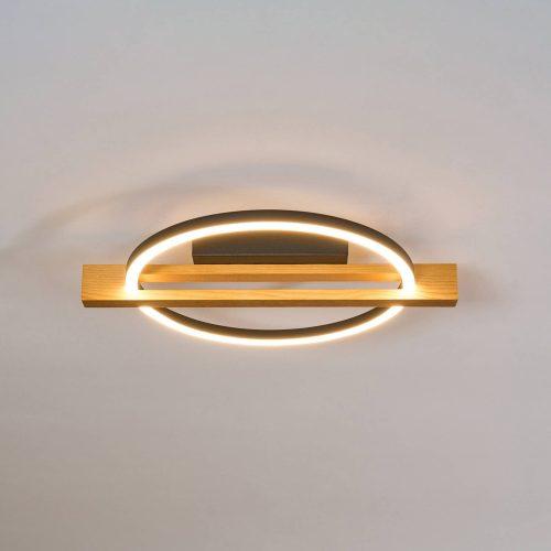 LED mennyezeti lámpa Tovak