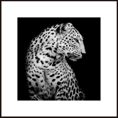 Falikép 50x50 cm