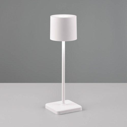 LED asztali lámpa Fernandez