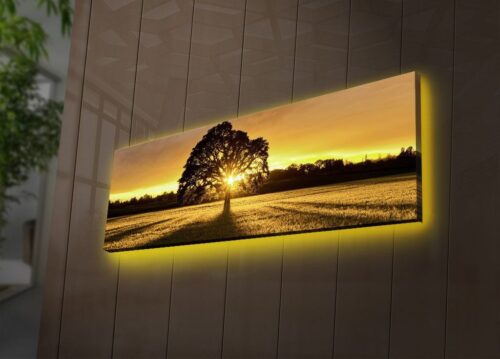 LED-es megvilágítású vászon falikép